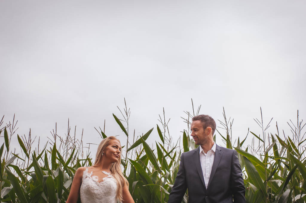 Bride and groom in a corn field